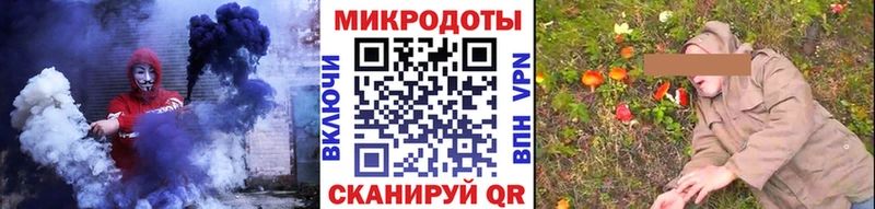 Псилоцибиновые грибы Psilocybine cubensis  Богданович 