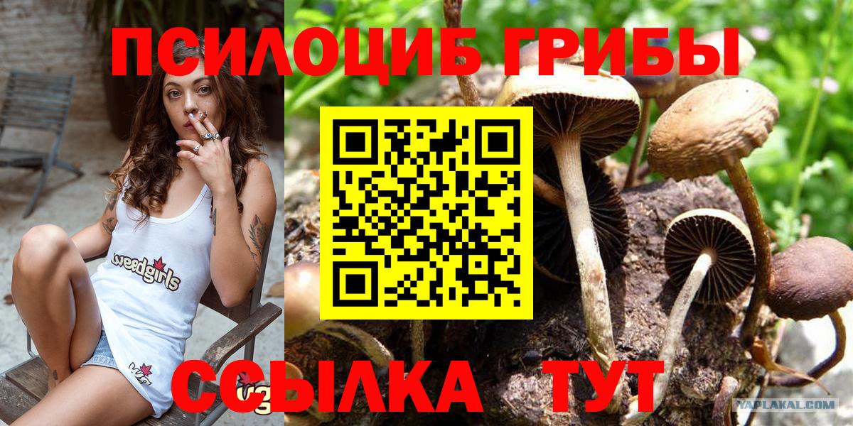 Псилоцибиновые грибы GOLDEN TEACHER  Псилоцибиновые грибы GOLDEN TEACHER  Богданович 