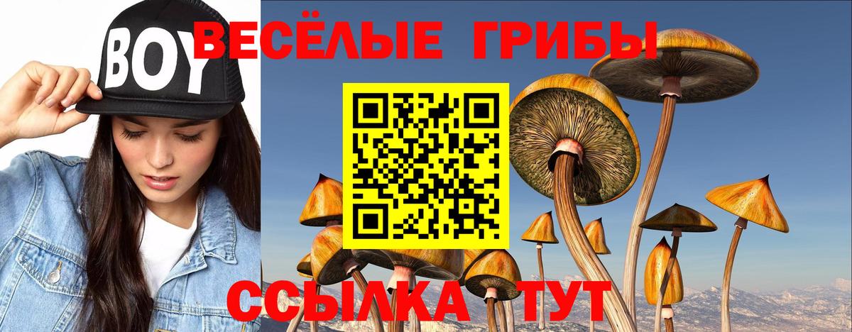 Галлюциногенные грибы мухоморы Богданович